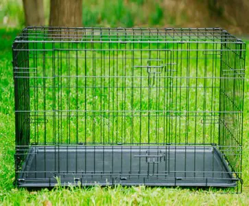 Heavy-Duty Folding Dog Crate with Toilet