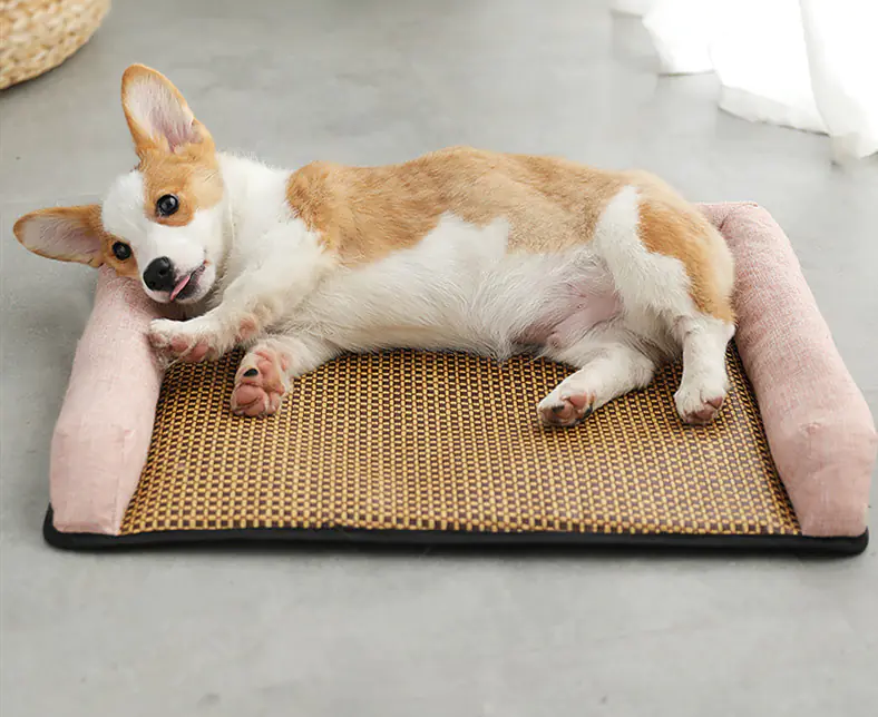 Universal Pet Sofa for All Seasons