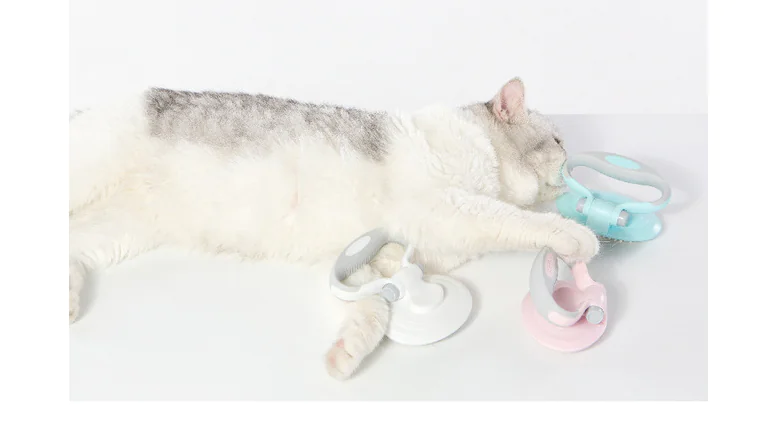 Self-Cleaning Steel Wire Brush for Pets