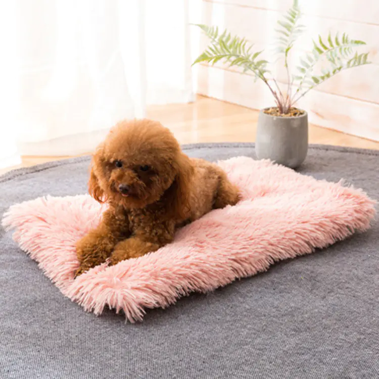 Square Pet Bed