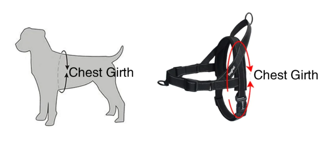 Pet Dog Harness with Leash for Walking