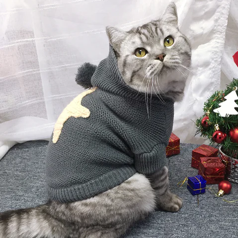 Autumn Winter Sweater