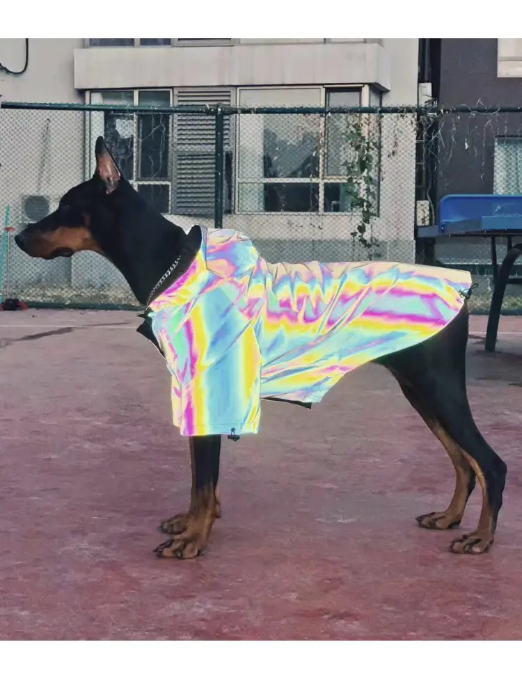 Reflective Raincoat