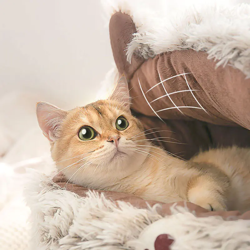 Winter Cat Bed